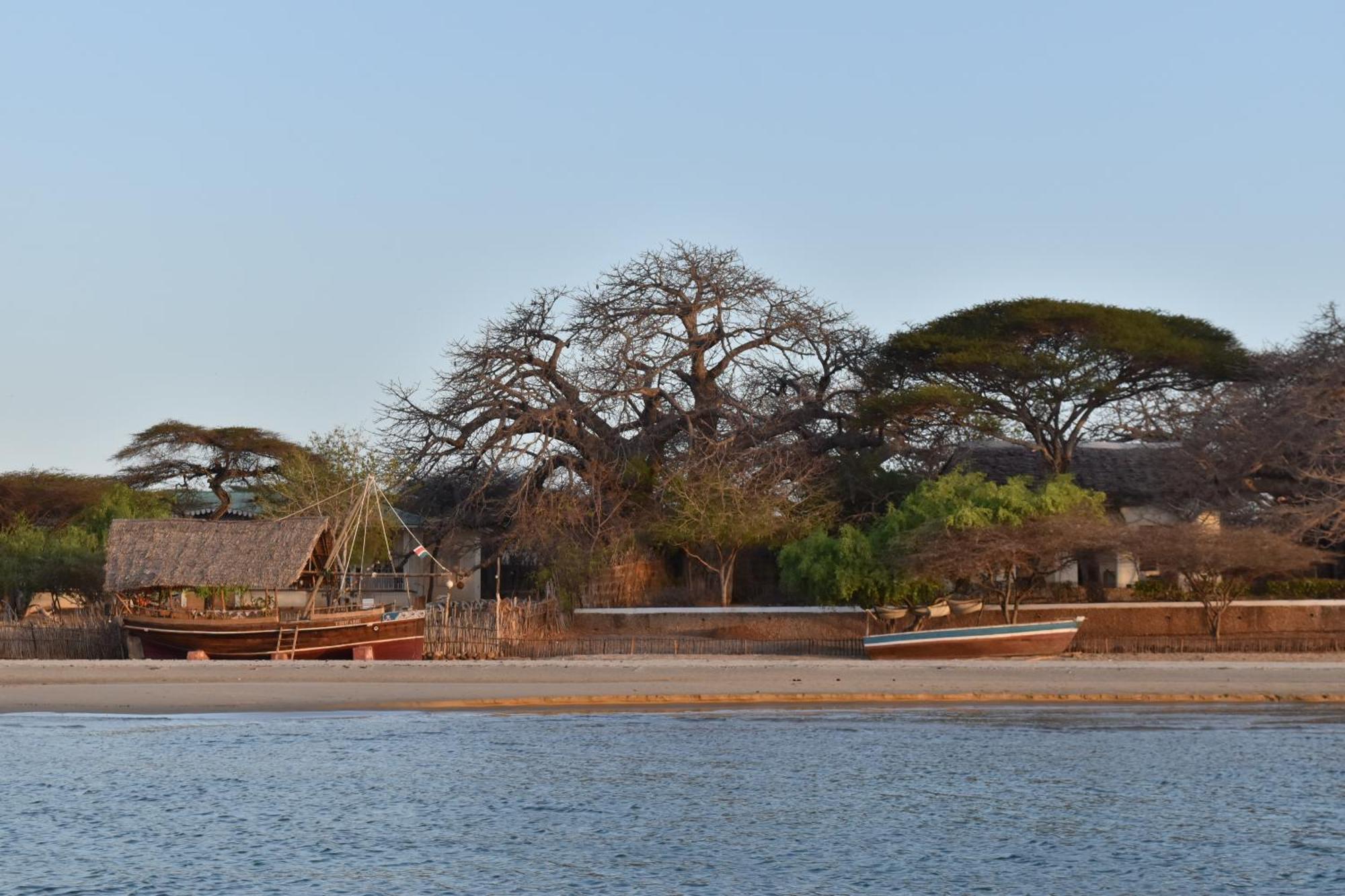 Amu House Hotel Lamu Buitenkant foto